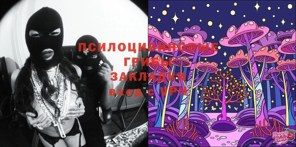 мяу мяу мука Покачи