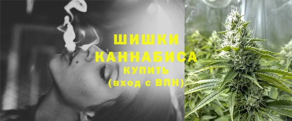 индика Покровск