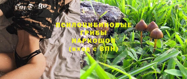 spice Покров