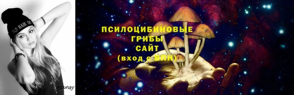 spice Покров