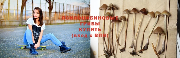 spice Покров