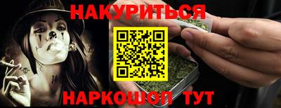 дмт Аргун