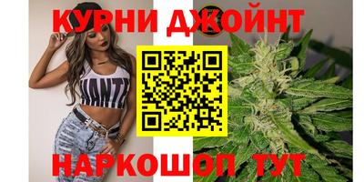 дмт Аргун