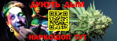 дмт Аргун