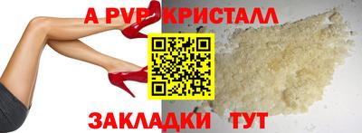 дмт Аргун