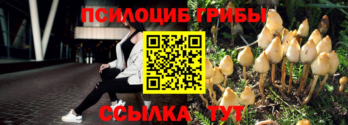 Псилоцибиновые грибы прущие грибы Белогорск