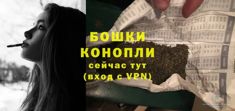 Шишки марихуана семена  Белогорск 